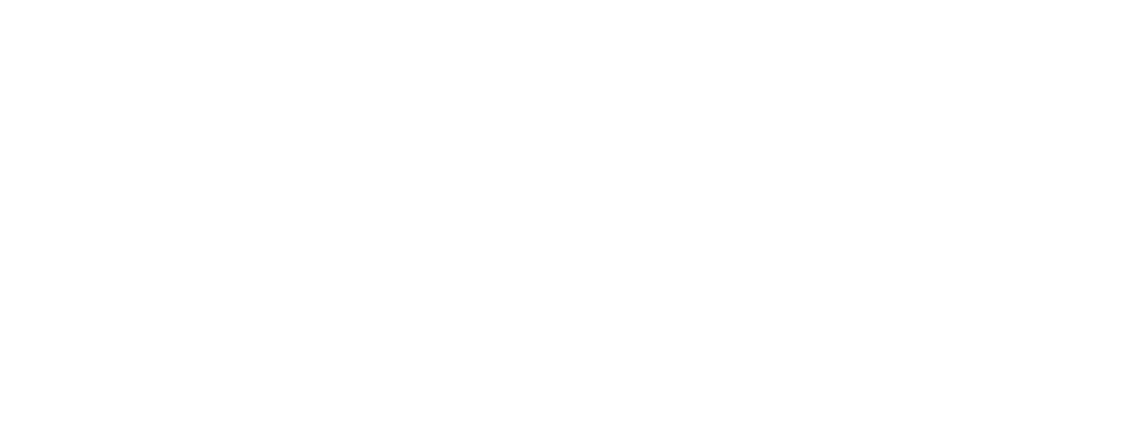 Garagebedrijf den Boer logo wit